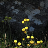 Chimanimani Hike