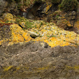 Colourful rocks on the Islets of Chiloe