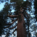 Yosemite National Park