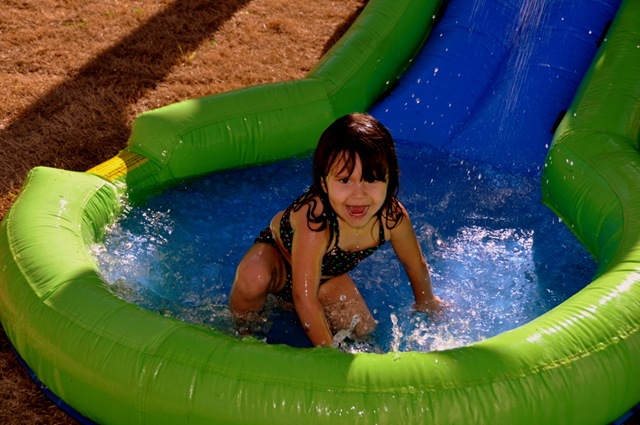 [DSC_2830[2].jpg]