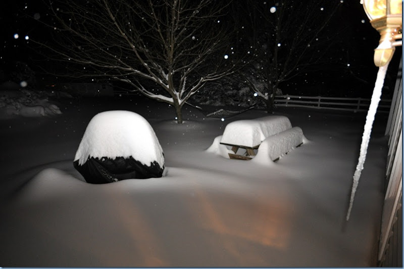 White Christmas 2009  DSC_0166