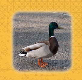 [image[69].png]