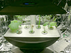 Cucumbers & Chives @ 2 weeks -- in a Classic.
