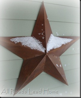 Snowy Star
