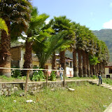 Visita a Palmira