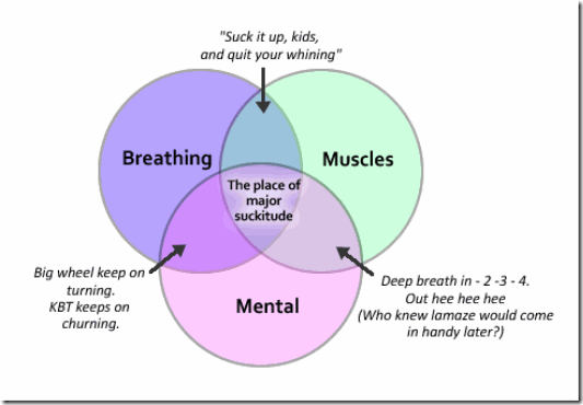 venn