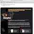 insync-p6.jpg