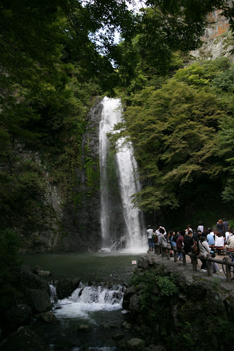 ã�»ã�—ã�®ã�‚ã�� の掲示板投稿写真＆画像