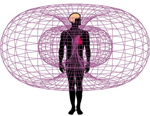 [[Heart-Electromagnetic_field[1][2].jpg]