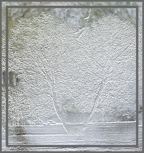 [Bild: Baumglas.png]