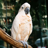 2008-09-10去南京路EDITED