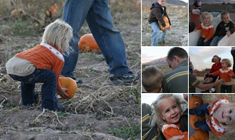 View pumpkin patch 2009