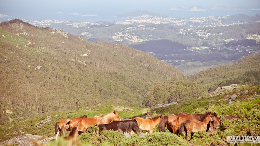 100620_curro morgadans_058.jpg