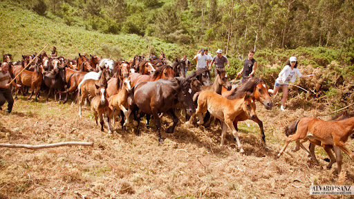 100620_curro morgadans_118.jpg