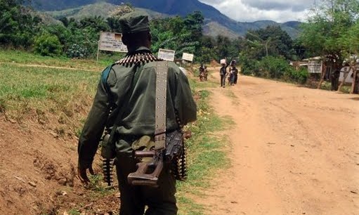 Milicien FDLR. Foto AFP