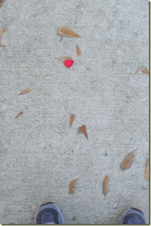 Petal Path_WEB2