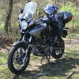 DSC01040.jpg