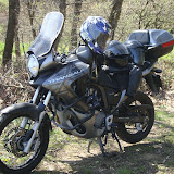 DSC01041.jpg