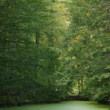 DSC01961.JPG