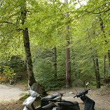 DSC01967.JPG