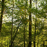 DSC02048.JPG