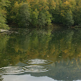 DSC02094.JPG
