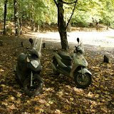 DSC02224.JPG