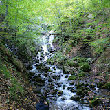 DSC02329.JPG