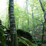 DSC02417.JPG