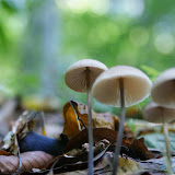 DSC02364.JPG