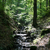 DSC02402.JPG