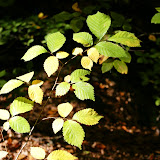 DSC02410.JPG