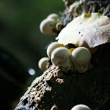 DSC02432.JPG