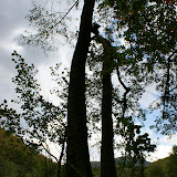 DSC02455.JPG