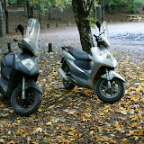 DSC02543.JPG