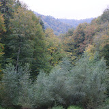 DSC02622.JPG