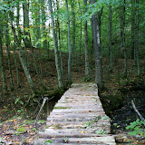 DSC02720.JPG