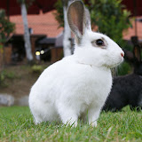 DSC02786.JPG