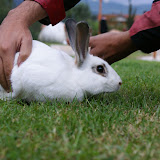 DSC02789.JPG