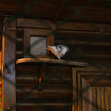 DSC04947.JPG
