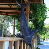 Akdeniz_070.jpg