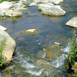 bilecik_047.jpg