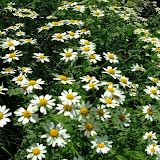bilecik_057.jpg
