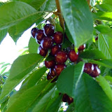 bilecik_073.jpg