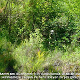 bilecik_021.jpg