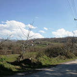 IMG_9575.jpg