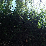 DSC_2635.JPG