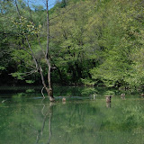 DSC_2589.JPG