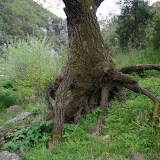 DSC01047.JPG