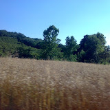 020720081524iv6.jpg